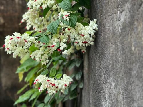 Outdoor Pictures 20