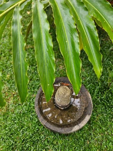 Outdoor Pictures 16