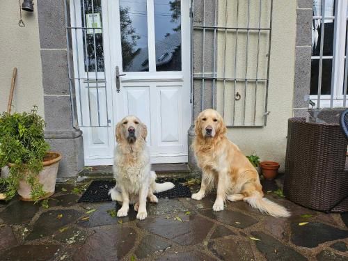 Outdoor Pictures 7