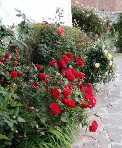 Outdoor Pictures 8