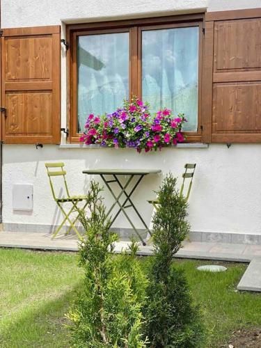 Outdoor Pictures 5
