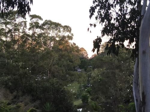 Outdoor Pictures 7