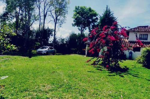 Outdoor Pictures 5