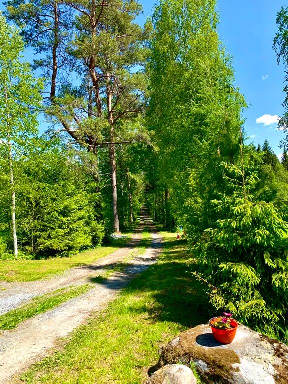 Outdoor Pictures 11