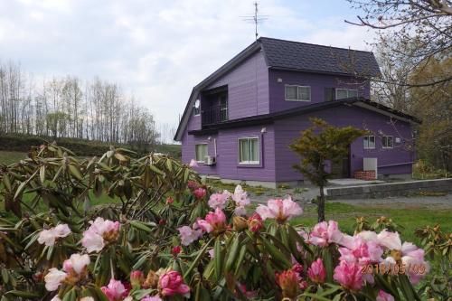 Outdoor Pictures 1