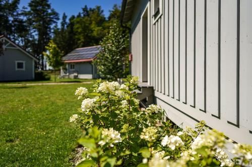 Outdoor Pictures 22