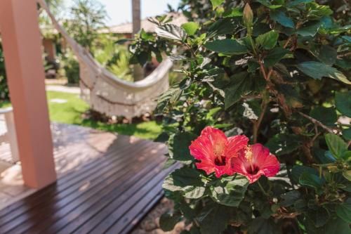 Outdoor Pictures 24