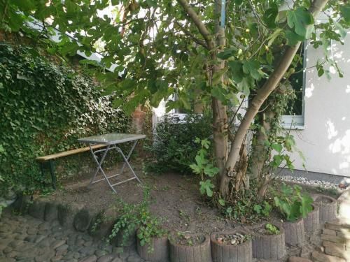 Outdoor Pictures 5