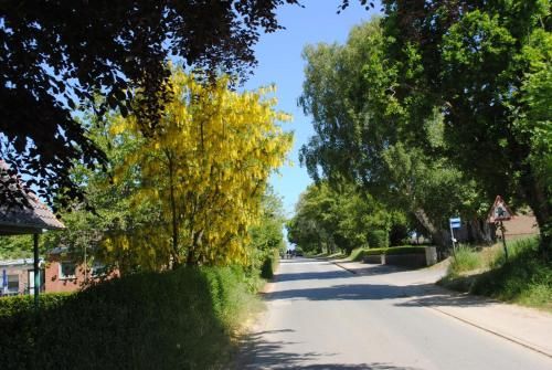 Outdoor Pictures 11