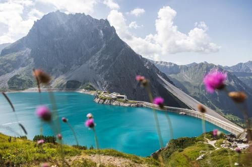 Outdoor Pictures 9