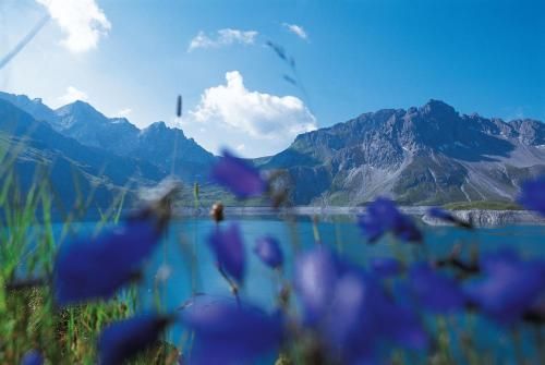 Outdoor Pictures 1