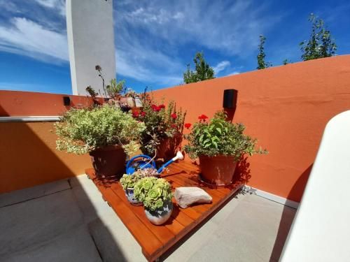 Outdoor Pictures 3