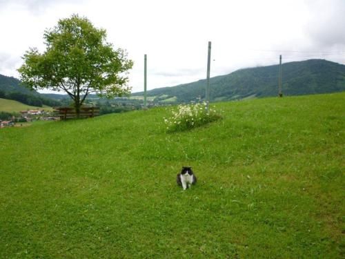 Outdoor Pictures 5