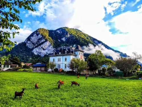 Outdoor Pictures 7