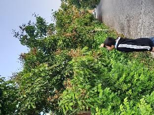 Outdoor Pictures 15