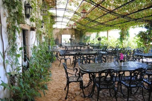 Outdoor Pictures 7