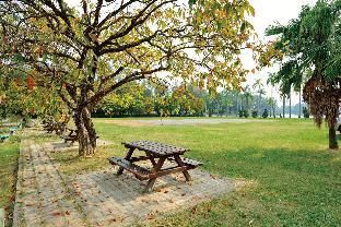 Outdoor Pictures 16