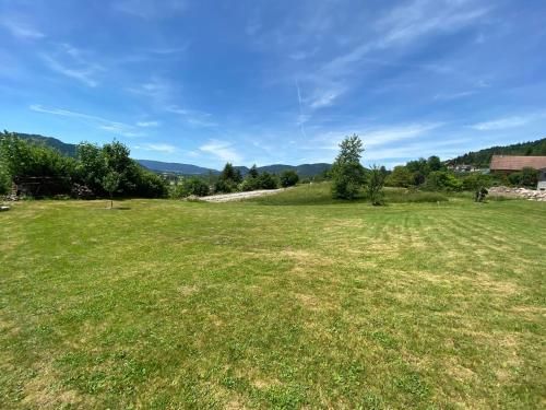 Outdoor Pictures 22