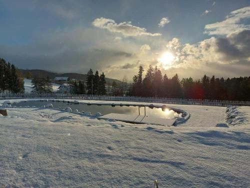 Outdoor Pictures 15