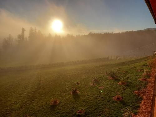 Outdoor Pictures 23