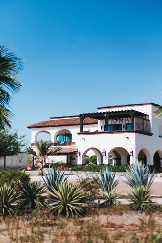 ORCHID HOUSE BAJA