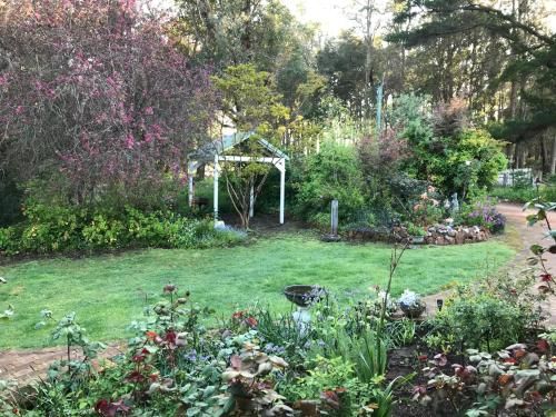 Outdoor Pictures 15