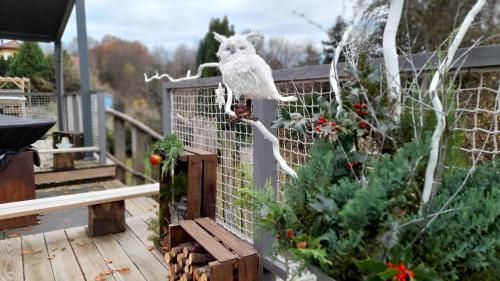 Outdoor Pictures 22