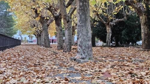 Outdoor Pictures 7