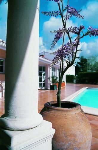 Outdoor Pictures 22