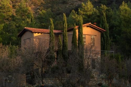 Outdoor Pictures 1