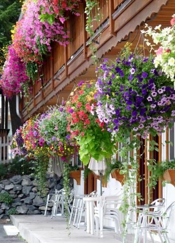 Outdoor Pictures 8