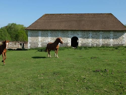 Château d'Argeronne