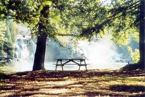 صورة الفندق 16