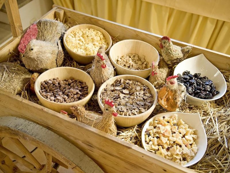 صورة الفندق 11