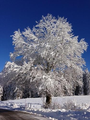 صورة الفندق 24