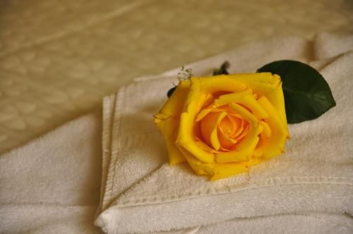صورة الفندق 20