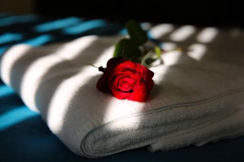 صورة الفندق 23