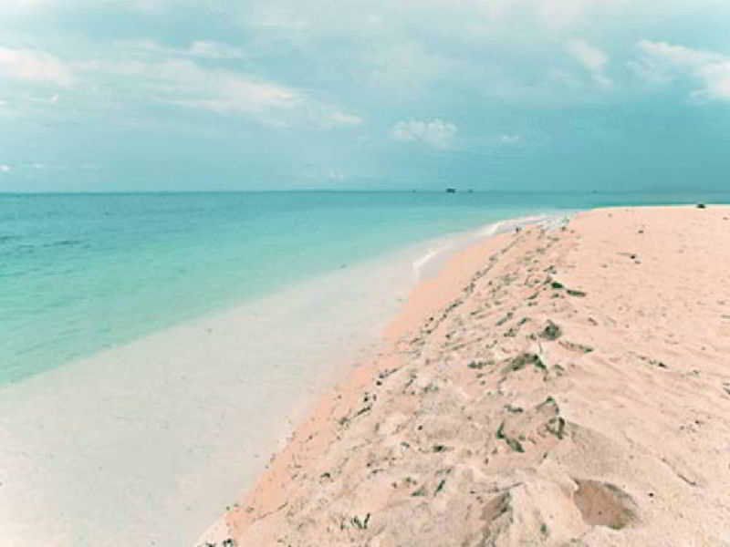 صورة الفندق 20