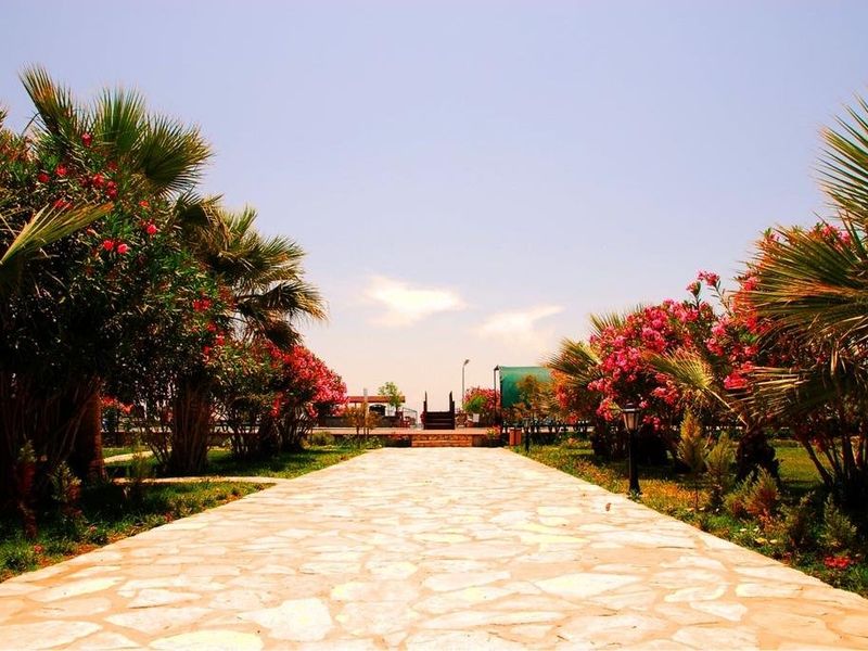 صورة الفندق 15