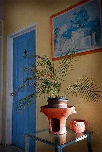 صورة الفندق 16