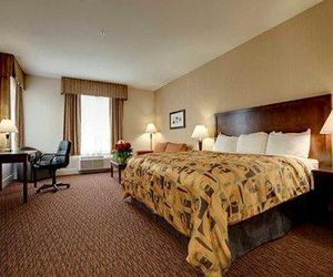 Comfort Inn & Suites Surrey Surrey Canada