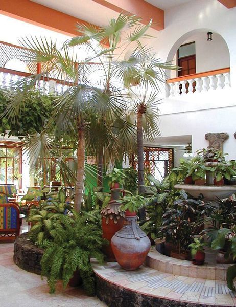 صورة الفندق 16