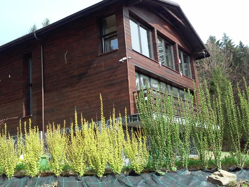 Hotel Photo 24