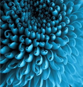 صورة الفندق 21