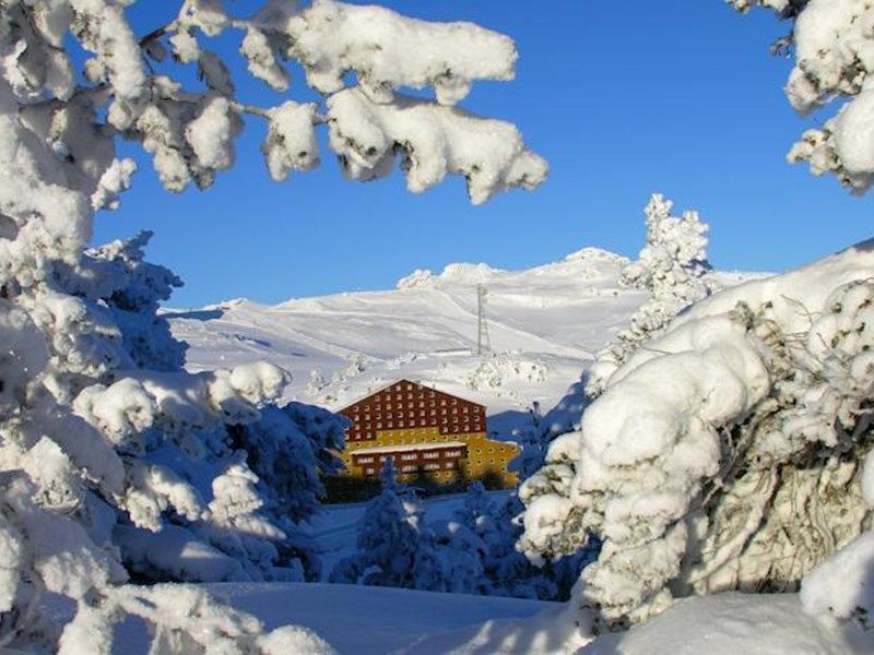 صورة الفندق 17