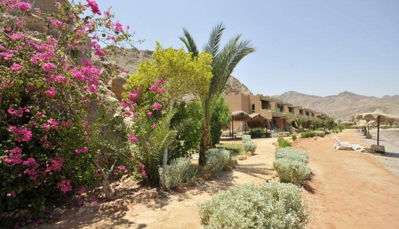 صورة الفندق 20