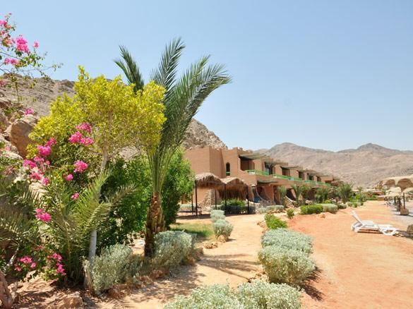صورة الفندق 24