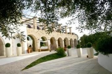 صورة الفندق 21