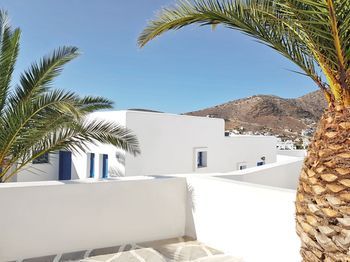 صورة الفندق 1