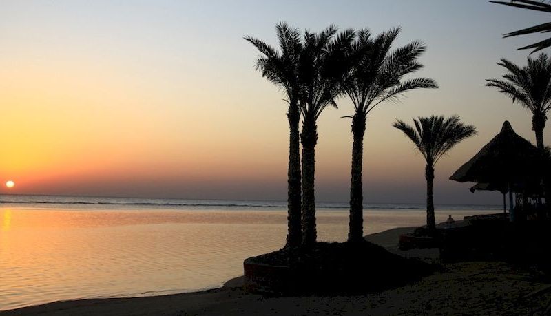 صورة الفندق 22